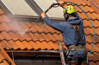 Démoussage et hydrofuge de toiture à Cogny